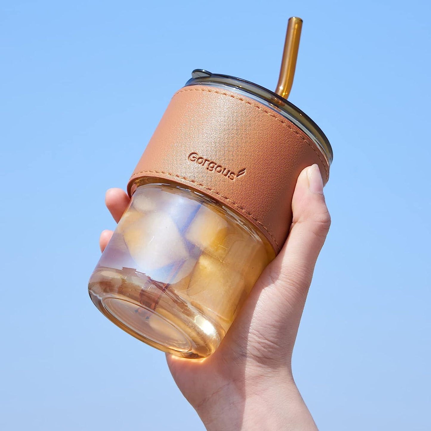 Premium Glass Water Bottle with Straw